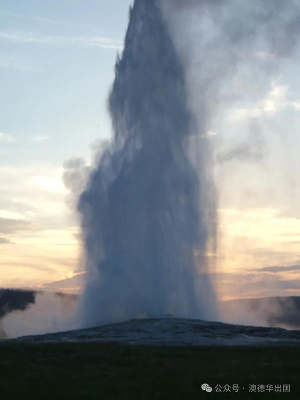 1764665108891162.png 5.webp.png