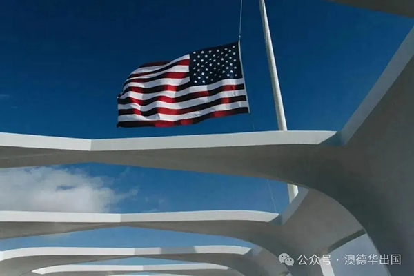 1765443660416080.png 5.webp.png