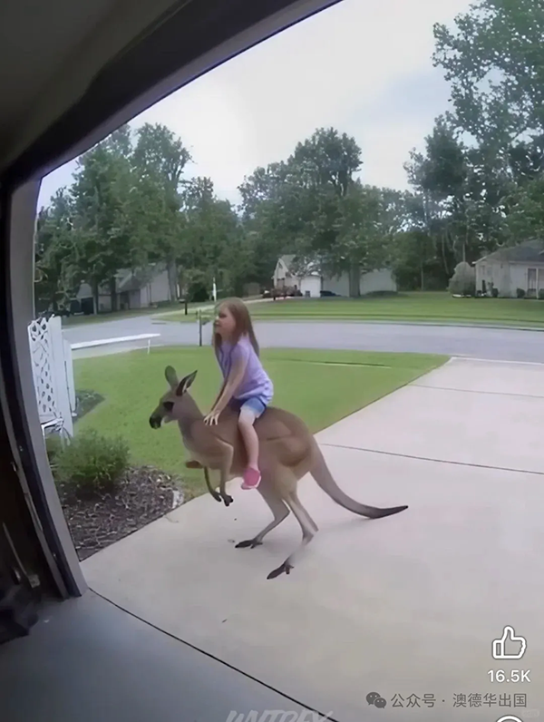 1774250448801780.png 9.webp.png