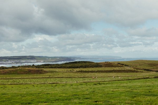 爱尔兰海岸田园