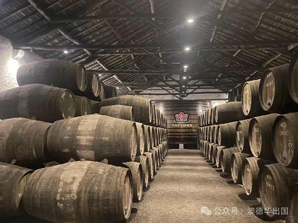 1769587832340494.png 5.webp.png