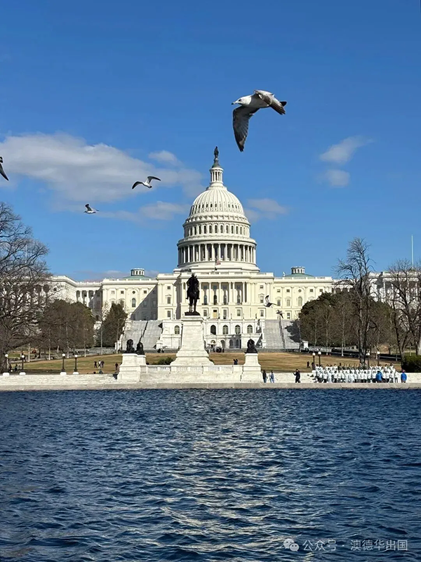 1773644735641435.png 3.webp.png